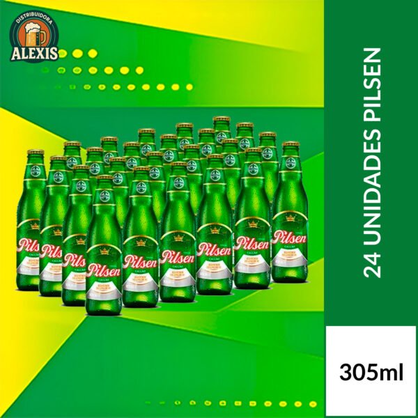 Pilsen 305ml x 24und